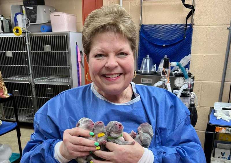 Carousel Slide 4: Meet our veterinary team